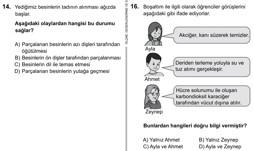 5. Sınıf Fen Bilimleri 2016 İOKBS Bursluluk Sınavı 16. Soru görseli