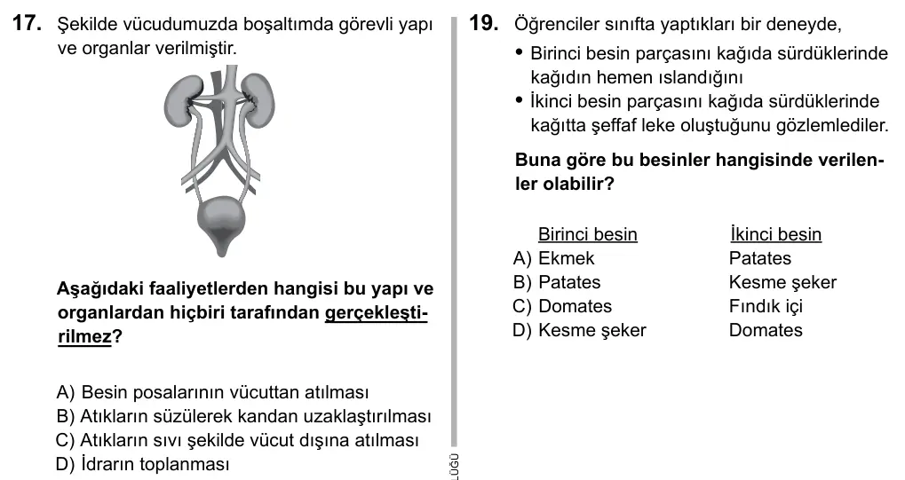5. Sınıf Fen Bilimleri 2016 İOKBS Bursluluk Sınavı 17. Soru görseli