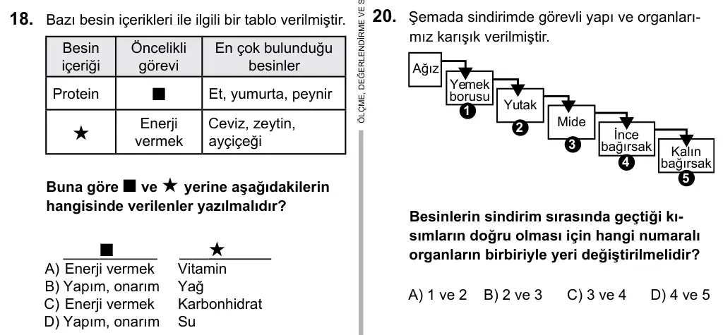 5. Sınıf Fen Bilimleri 2016 İOKBS Bursluluk Sınavı 18. Soru görseli