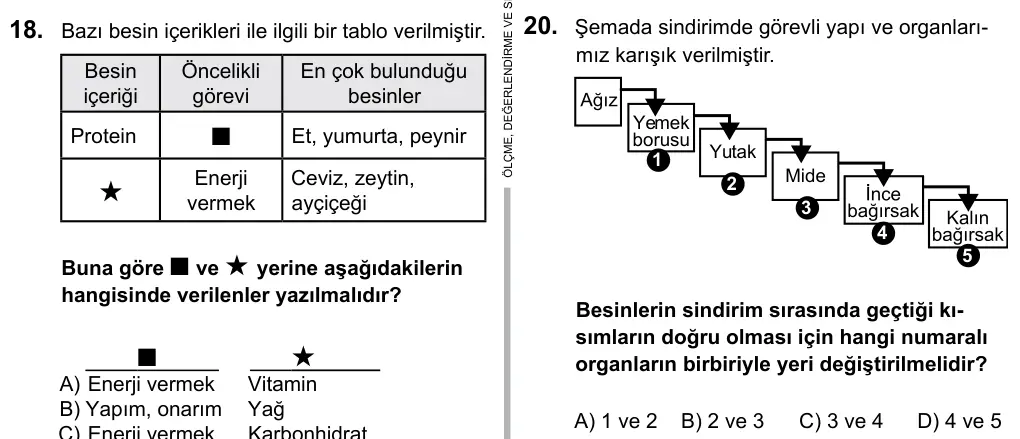 5. Sınıf Fen Bilimleri 2016 İOKBS Bursluluk Sınavı 20. Soru görseli