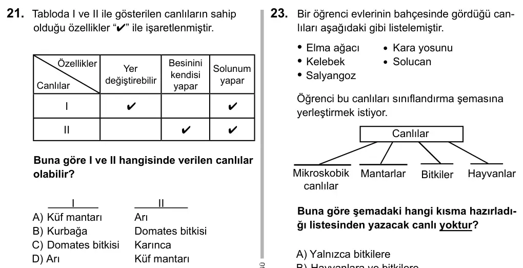 5. Sınıf Fen Bilimleri 2016 İOKBS Bursluluk Sınavı 21. Soru görseli
