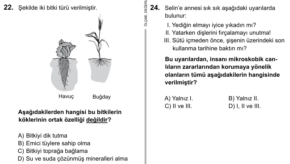 5. Sınıf Fen Bilimleri 2016 İOKBS Bursluluk Sınavı 22. Soru görseli