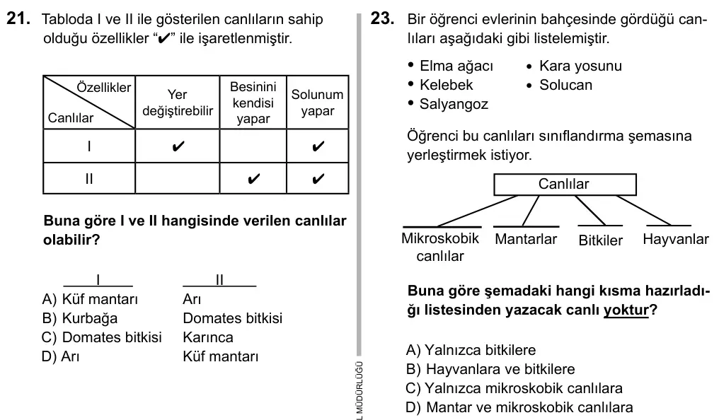 5. Sınıf Fen Bilimleri 2016 İOKBS Bursluluk Sınavı 23. Soru görseli