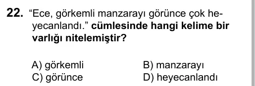 5. Sınıf Türkçe 2016 İOKBS Bursluluk Sınavı 22. Soru görseli