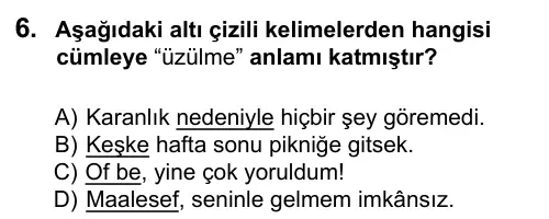 5. Sınıf Türkçe 2016 İOKBS Bursluluk Sınavı 6. Soru görseli