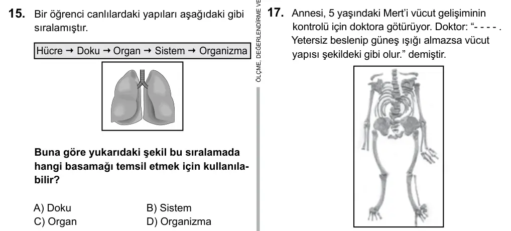 6. Sınıf Fen Bilimleri 2016 İOKBS Bursluluk Sınavı 15. Soru görseli