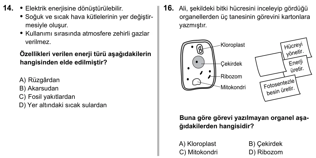 6. Sınıf Fen Bilimleri 2016 İOKBS Bursluluk Sınavı 16. Soru görseli