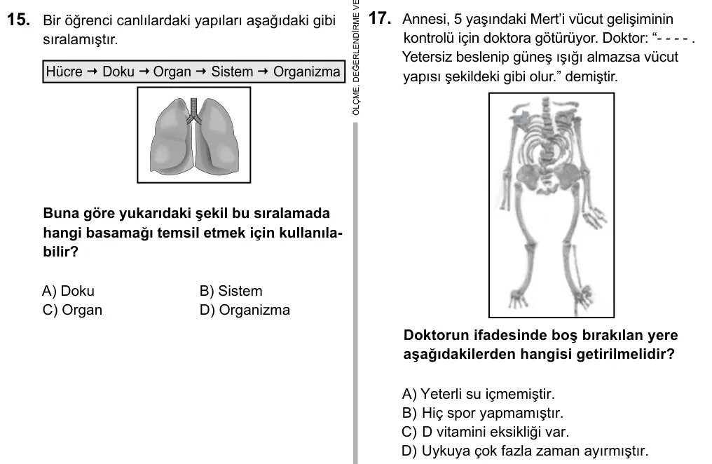 6. Sınıf Fen Bilimleri 2016 İOKBS Bursluluk Sınavı 17. Soru görseli