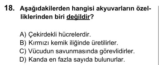 6. Sınıf Fen Bilimleri 2016 İOKBS Bursluluk Sınavı 18. Soru görseli