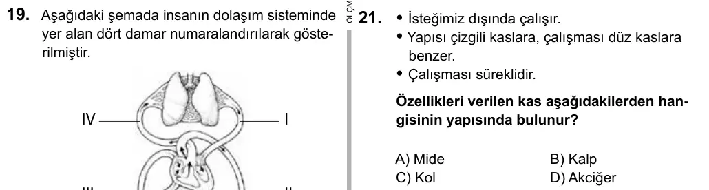 6. Sınıf Fen Bilimleri 2016 İOKBS Bursluluk Sınavı 21. Soru görseli