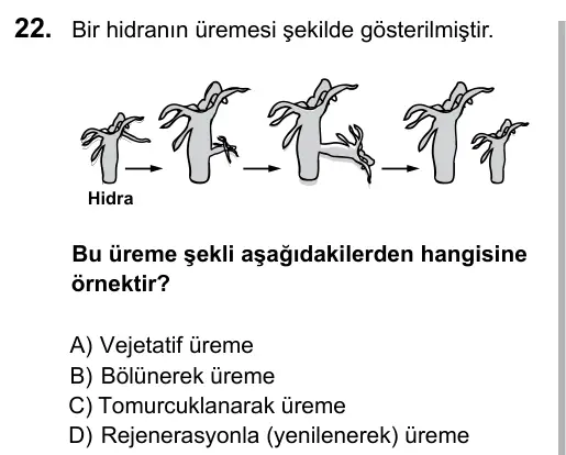 6. Sınıf Fen Bilimleri 2016 İOKBS Bursluluk Sınavı 22. Soru görseli