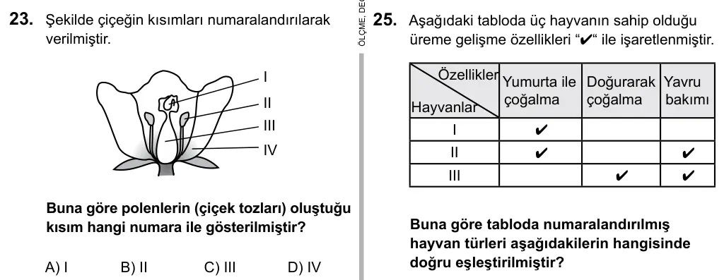 6. Sınıf Fen Bilimleri 2016 İOKBS Bursluluk Sınavı 23. Soru görseli