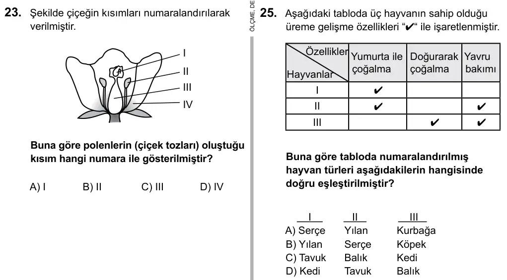 6. Sınıf Fen Bilimleri 2016 İOKBS Bursluluk Sınavı 25. Soru görseli