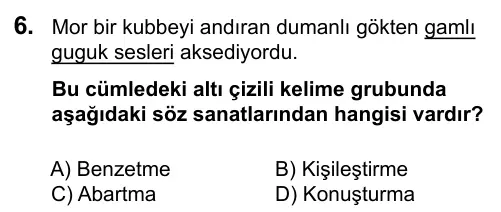 6. Sınıf Türkçe 2016 İOKBS Bursluluk Sınavı 6. Soru görseli