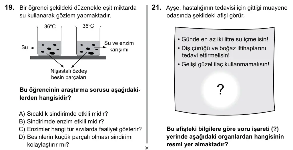 7. Sınıf Fen Bilimleri 2016 İOKBS Bursluluk Sınavı 19. Soru görseli