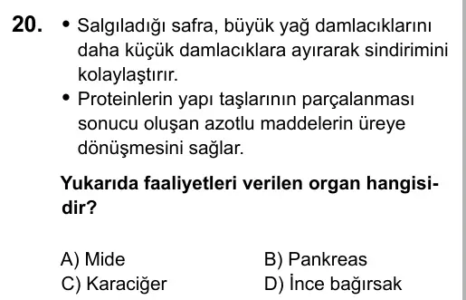 7. Sınıf Fen Bilimleri 2016 İOKBS Bursluluk Sınavı 20. Soru görseli