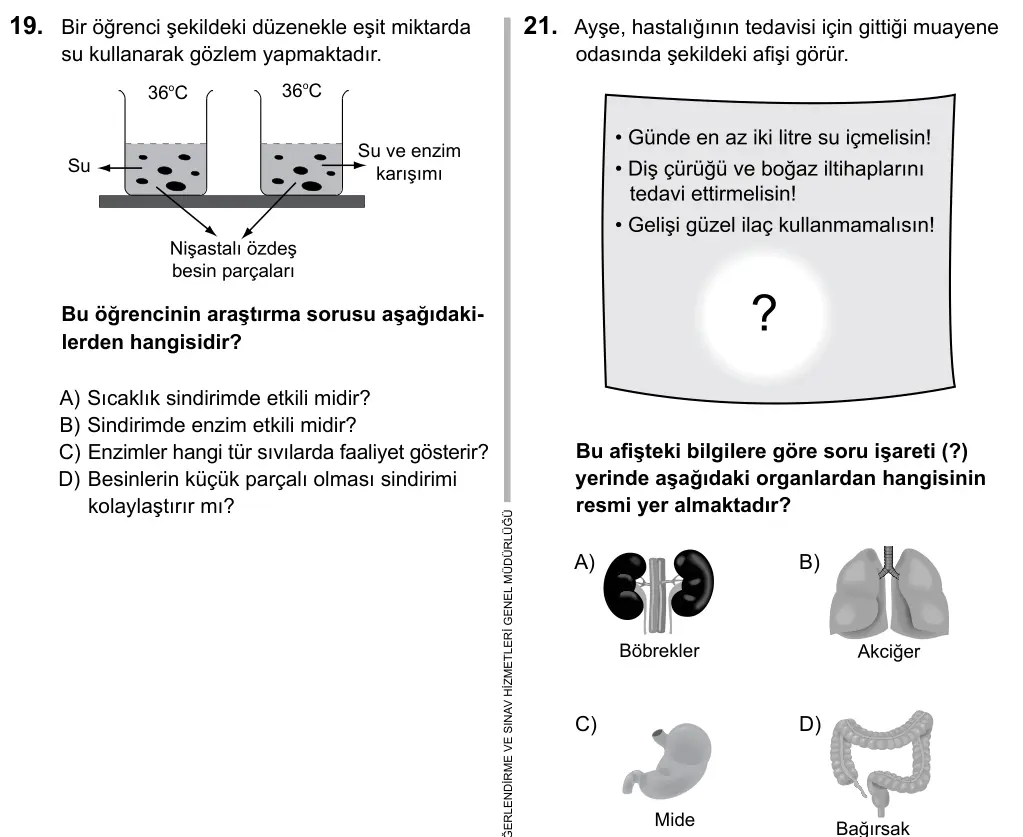 7. Sınıf Fen Bilimleri 2016 İOKBS Bursluluk Sınavı 21. Soru görseli