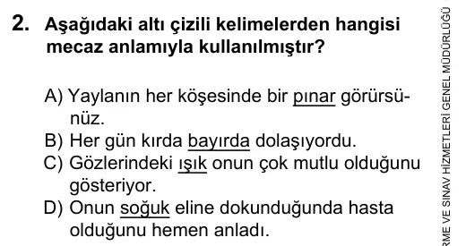 7. Sınıf Türkçe 2016 İOKBS Bursluluk Sınavı 2. Soru görseli
