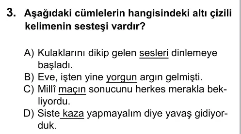 7. Sınıf Türkçe 2016 İOKBS Bursluluk Sınavı 3. Soru görseli