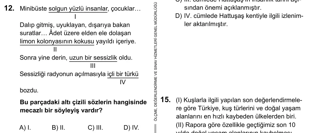 9, 10, 11. Sınıf Dil ve Anlatım 2016 İOKBS Bursluluk Sınavı 12. Soru görseli
