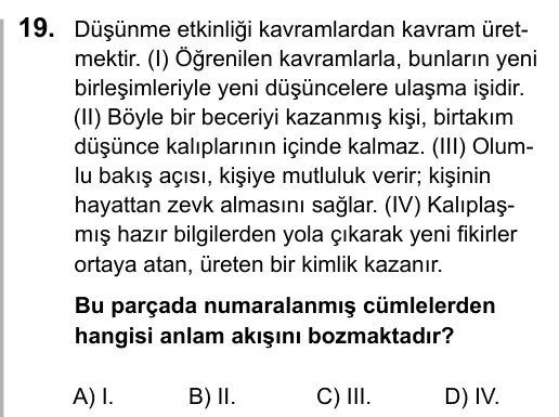9, 10, 11. Sınıf Dil ve Anlatım 2016 İOKBS Bursluluk Sınavı 19. Soru görseli