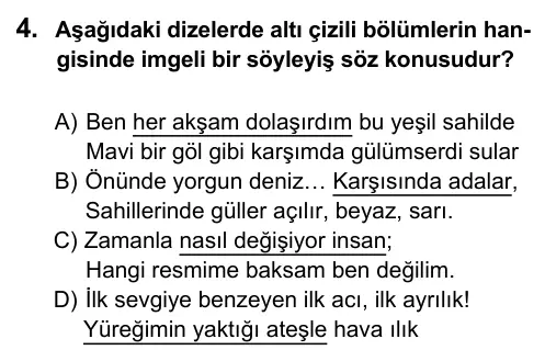9, 10, 11. Sınıf Dil ve Anlatım 2016 İOKBS Bursluluk Sınavı 4. Soru görseli
