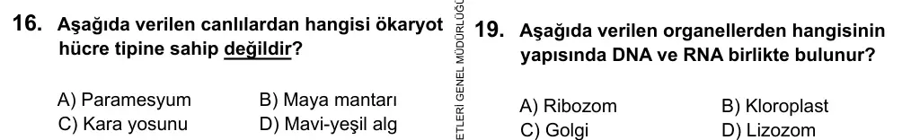 9, 10, 11. Sınıf Fen Bilimleri 2016 İOKBS Bursluluk Sınavı 16. Soru görseli