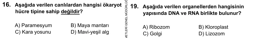 9, 10, 11. Sınıf Fen Bilimleri 2016 İOKBS Bursluluk Sınavı 19. Soru görseli