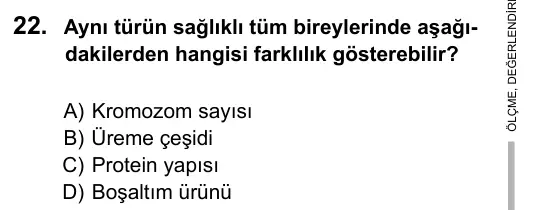 9, 10, 11. Sınıf Fen Bilimleri 2016 İOKBS Bursluluk Sınavı 22. Soru görseli