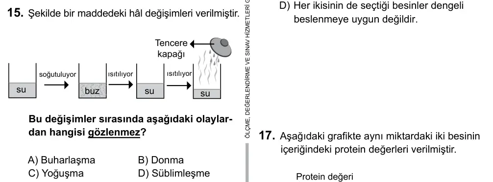 5. Sınıf Fen Bilimleri 2017 İOKBS Bursluluk Sınavı 15. Soru görseli