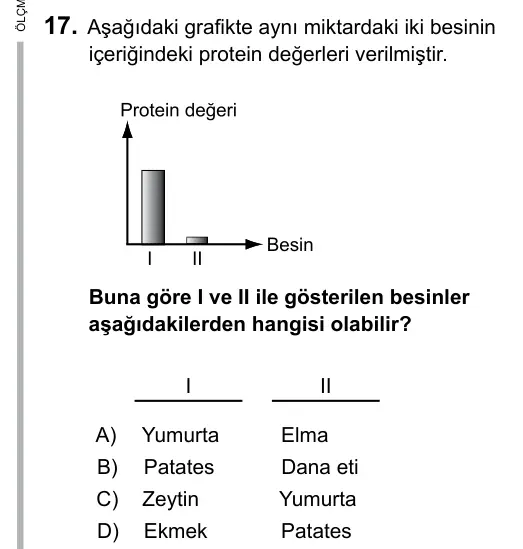 5. Sınıf Fen Bilimleri 2017 İOKBS Bursluluk Sınavı 17. Soru görseli