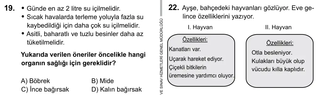 5. Sınıf Fen Bilimleri 2017 İOKBS Bursluluk Sınavı 19. Soru görseli