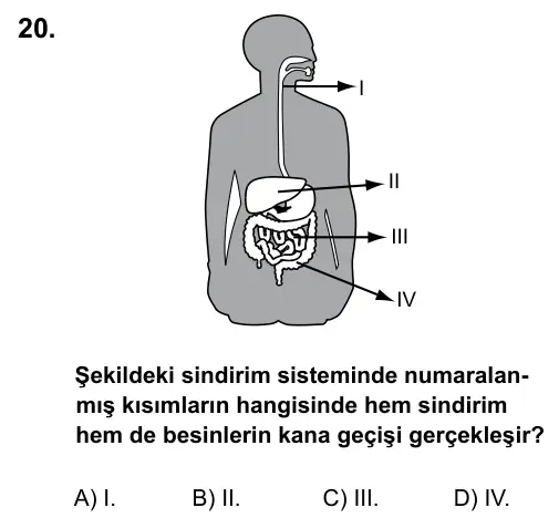 5. Sınıf Fen Bilimleri 2017 İOKBS Bursluluk Sınavı 20. Soru görseli