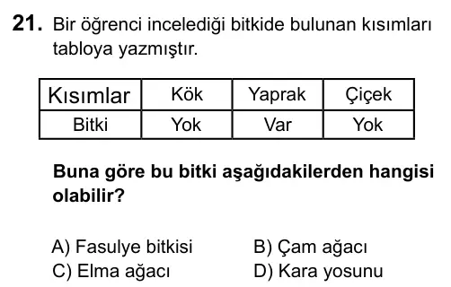 5. Sınıf Fen Bilimleri 2017 İOKBS Bursluluk Sınavı 21. Soru görseli