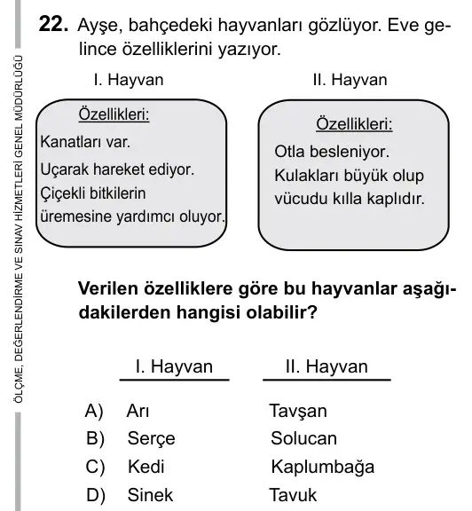 5. Sınıf Fen Bilimleri 2017 İOKBS Bursluluk Sınavı 22. Soru görseli