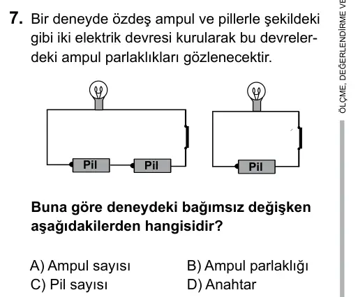 5. Sınıf Fen Bilimleri 2017 İOKBS Bursluluk Sınavı 7. Soru görseli