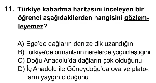 5. Sınıf Sosyal Bilgiler 2017 İOKBS Bursluluk Sınavı 11. Soru görseli