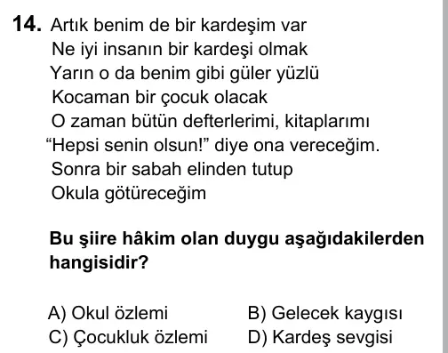 5. Sınıf Türkçe 2017 İOKBS Bursluluk Sınavı 14. Soru görseli