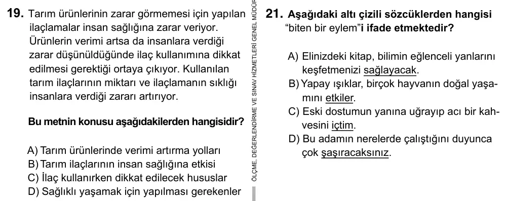 5. Sınıf Türkçe 2017 İOKBS Bursluluk Sınavı 19. Soru görseli