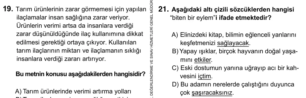 5. Sınıf Türkçe 2017 İOKBS Bursluluk Sınavı 21. Soru görseli