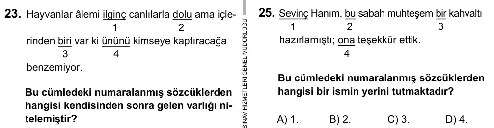 5. Sınıf Türkçe 2017 İOKBS Bursluluk Sınavı 25. Soru görseli