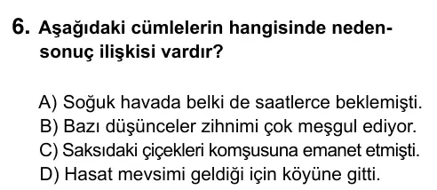 5. Sınıf Türkçe 2017 İOKBS Bursluluk Sınavı 6. Soru görseli