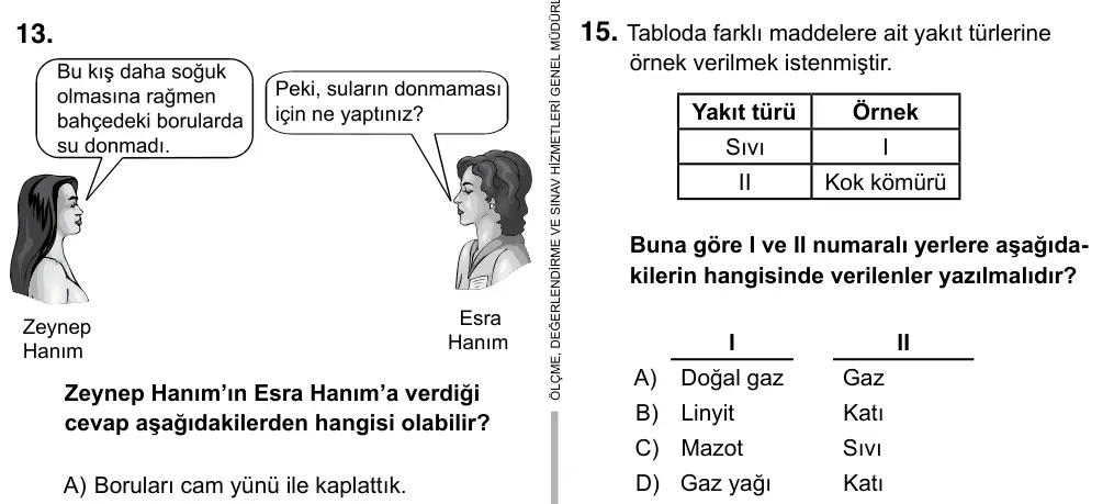 6. Sınıf Fen Bilimleri 2017 İOKBS Bursluluk Sınavı 15. Soru görseli