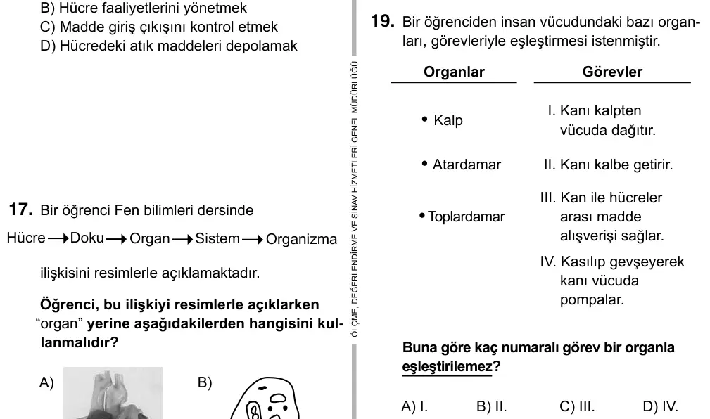 6. Sınıf Fen Bilimleri 2017 İOKBS Bursluluk Sınavı 19. Soru görseli