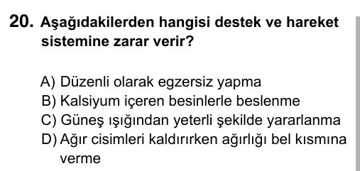 6. Sınıf Fen Bilimleri 2017 İOKBS Bursluluk Sınavı 20. Soru görseli