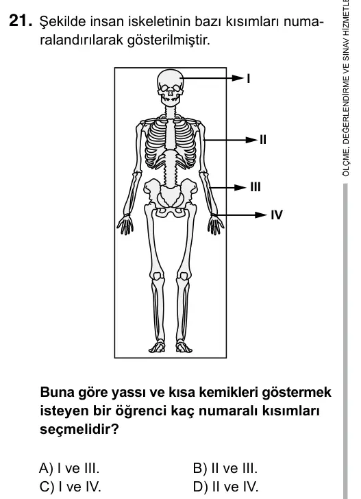 6. Sınıf Fen Bilimleri 2017 İOKBS Bursluluk Sınavı 21. Soru görseli
