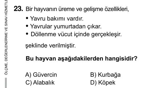 6. Sınıf Fen Bilimleri 2017 İOKBS Bursluluk Sınavı 23. Soru görseli