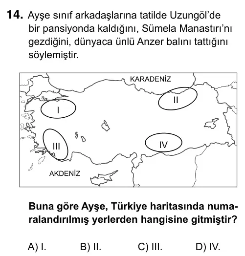 6. Sınıf Sosyal Bilgiler 2017 İOKBS Bursluluk Sınavı 14. Soru görseli