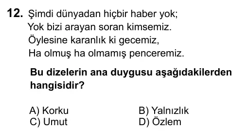 6. Sınıf Türkçe 2017 İOKBS Bursluluk Sınavı 12. Soru görseli
