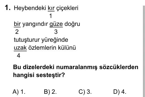 6. Sınıf Türkçe 2017 İOKBS Bursluluk Sınavı 1. Soru görseli